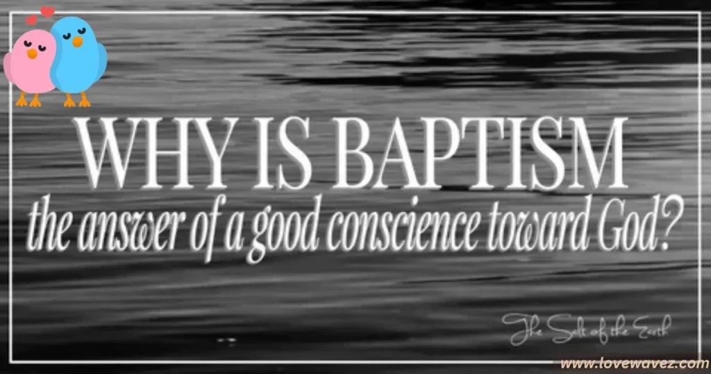  baptism that now saves 