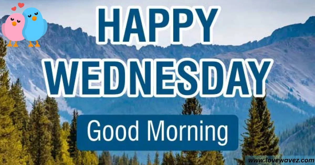 Good Morning Wednesday