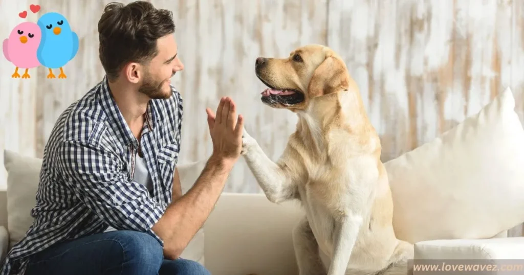 "Dogs have their unique ways of being goofy."