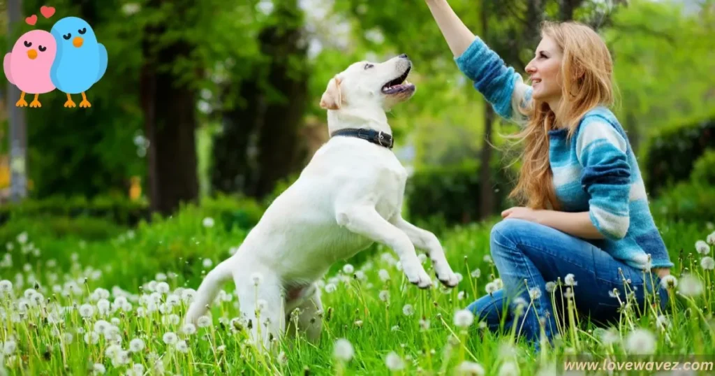 "Every day with a pet is a blessing."