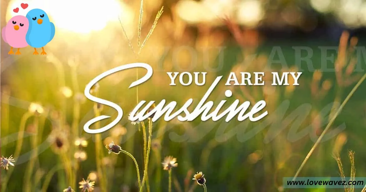 You are my sunshine