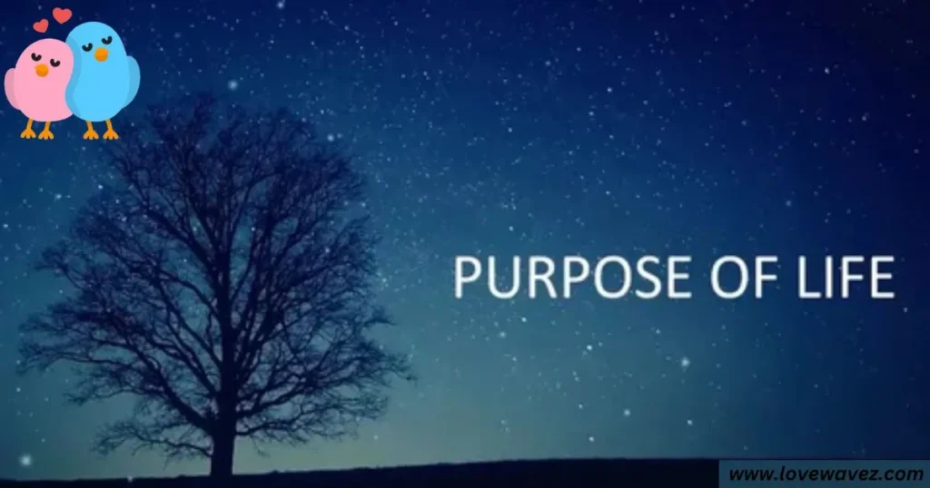 purpose of life 